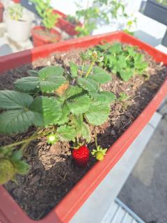 Hermoso y Amplio Apartamento - 3