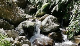 Katikara Eco-Community - Rosewood accommodations - 3