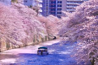 Tokyo Meguro River House In Nakameguro - 2