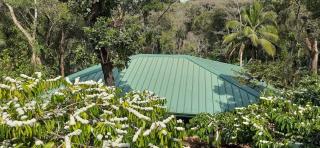 Coffee Courtyard - Kurchi - 3