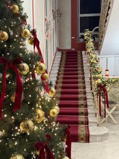 Metro Hotel Apartments - 9