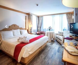 Grifone Dolomiti Resort - 8