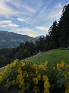 Apartment Alpen Lodge 52 - 2