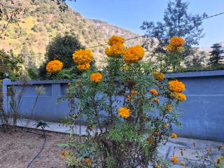 Aarohi Nature's Retreat - Rājpur - 8