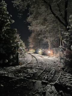 Dębowiec 53, dom z ogrodem na wyłączność, - 1