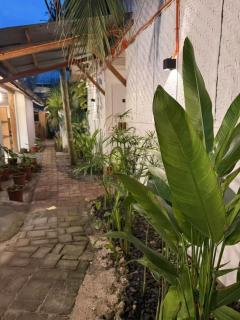 AA Jungle Guesthouse - 9