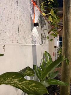 AA Jungle Guesthouse - 3