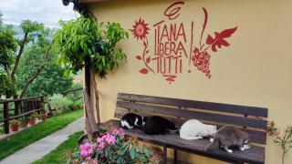 Tana Libera Tutti 3 Nature, Yourself, Love - 6