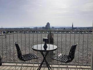 Le Skyview - Mulhouse - 2