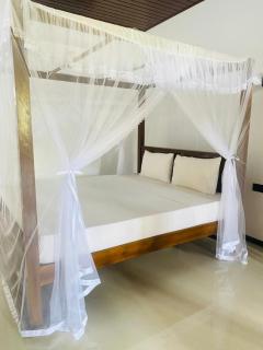 White Flower Guest - 6