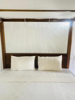 White Flower Guest - 4