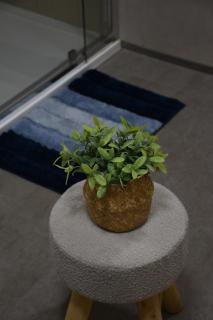 Bahía de Pedreña - 5