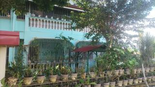 Hundred Islands Guest House and Gardens 2 - 3