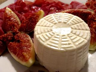 Capannacce Organic and Horse Farm - Rapolano Terme - 1
