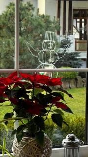 АНАСОЛЬ з чаном - джакузі басейн з підігрівом - 8