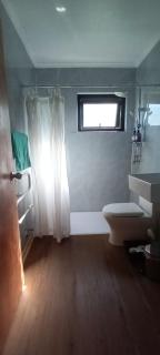 Casa Chucao, naturaleza, aves, paseos - 1