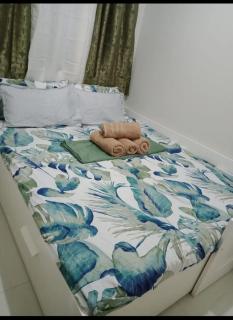 Shore 2 Residence Homes Near MOA - 6