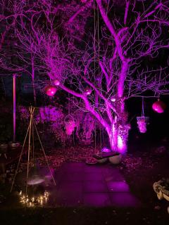 Pakhuis Bed and Breakfast Unique - 7