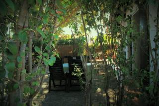 Lavender Apartment - Argelès-sur-Mer - 8
