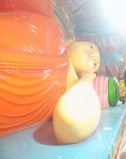 The Coppers Glamping Pod Villa with Pool - 1