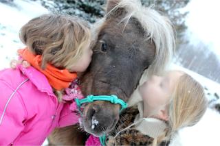 Narzissendorf Zloam - Ferien & Abenteuer am Grundlsee - 1