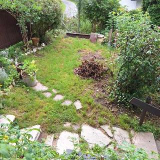 Sonniges Appartement und Gästezimmer, Haus Borowiec - 8