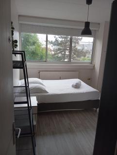 Chambre lit double pour 1 à 2 pers en Colocation - Nancy - 4