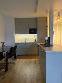 Apartment Puijonkatu - 4