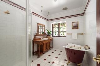 Westend Studio - Cozy King Stay on 5 Acres - 6