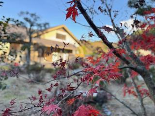 Nine Kings House - 9