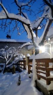 The Old Cherry House - 0