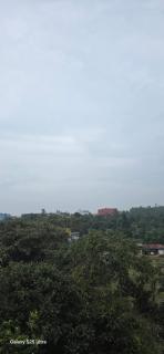 Coorg Nature Holiday Homes - Madikeri - 1