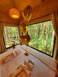 Tree Houses Olszanka - 8