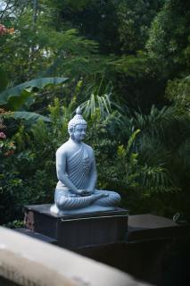 Gulmohar Eco Village Resort - 0