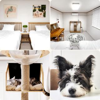 Ilbo Stay Seoul Homestay with Dog & Cat - 9