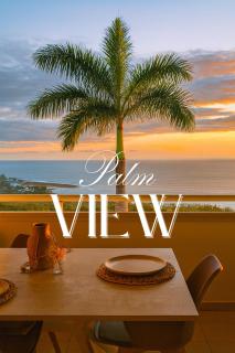 Palm View - 0