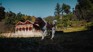 Selah by soho house - 1