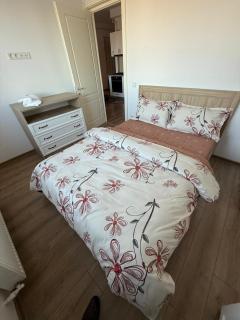 Beautiful Iasi Apartment - 5