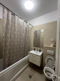 Beautiful Iasi Apartment - 2