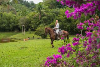 Guest House Fazenda do Francês & Culinária Francesa - 9