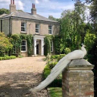 The Priory Cottage - 8