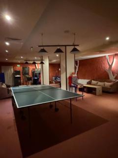 Chamkoria Borovets luxury apartment view - 2