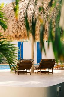 The Green Turtle Eco Lodge - Willemstad - 7