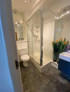 Modern two bedroom apartment - 4