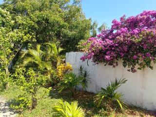 Casa INTI de Maracajaú - 4