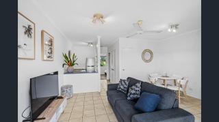 Coconut Palms at Holloways Beach - Cairns - 9