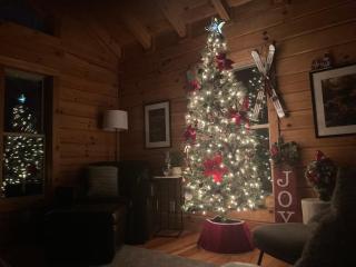 The Mountainbriar Lodge - 4