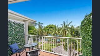 Coconut Palms at Holloways Beach - Cairns - 2