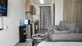 Furnished Premium studio Ngara - 4