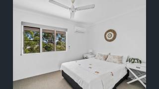 Coconut Palms at Holloways Beach - Cairns - 4